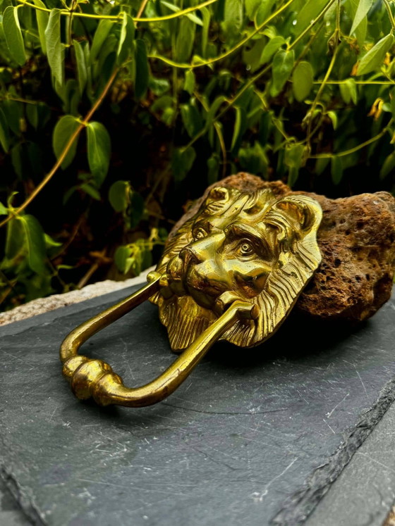 Gran aldaba de león en latón macizo Art Nouveau – Objetos decorativos, Brass (photo 3 of 5)