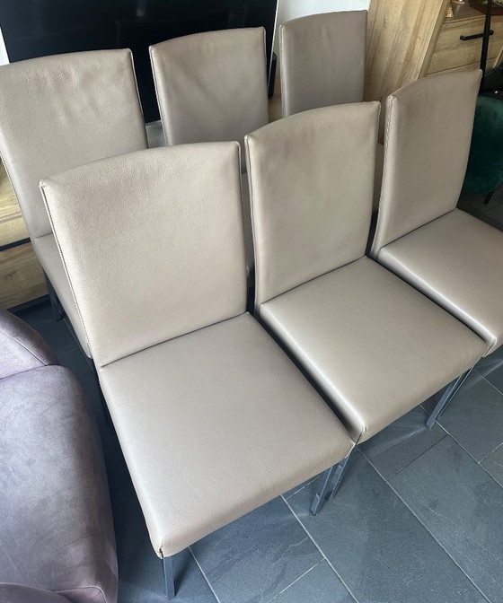 6 sillas Rolf Benz – Sillas de comedor, Leather, Metal (photo 3 of 5)