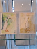 Canard coureur "Wiesje" et Klaartje