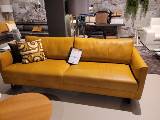 Brandneues Sofa von Lederland
