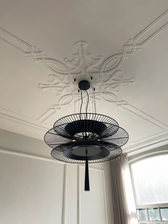 Image 1 of Gravity 2 Hanging Lamp Black - Forestier