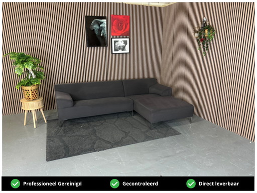 LIVRAISON GRATUITE Canapé lounge Rolf Benz Anthracite 260x170 REMIS À NEUF