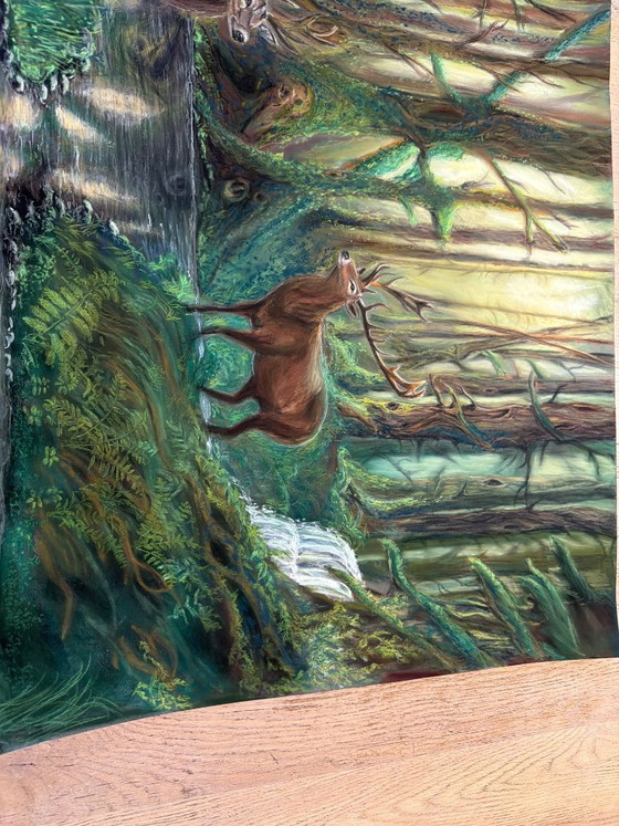 Image 1 of Nature