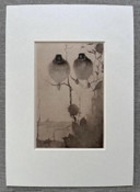 Jan Mankes 1889-1920 / Heliogravüre Stieglitze in der Dämmerung 1923