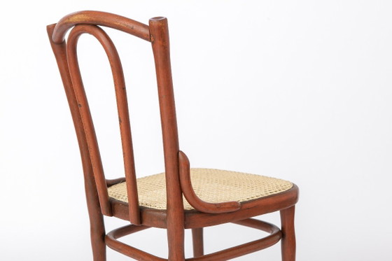 Sedia antica in legno curvato nello stile di Thonet n. 56 | Sedia da bistrot austriaca in rattan | Anni '30 (photo 8 of 11)