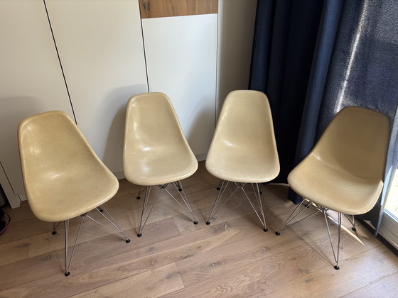 Image 1 of 4 chaises d'appoint en fibre de verre Eames Miller Vitra DSR – parchemin