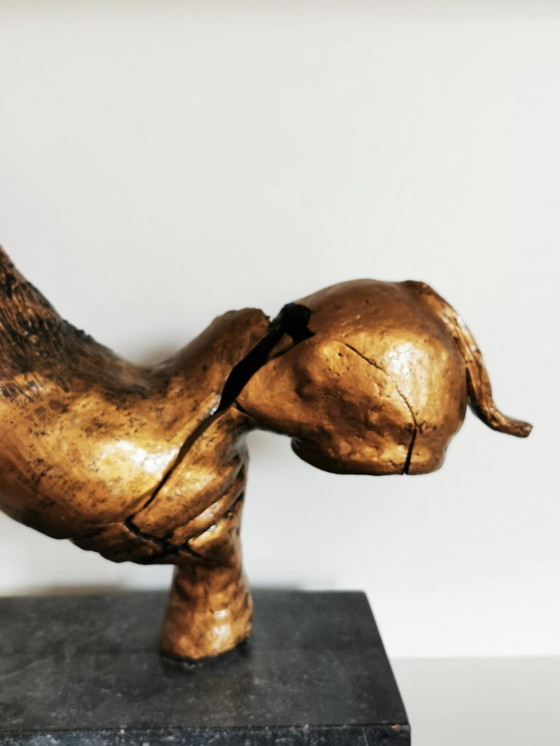 Image 1 of Asino al galoppo