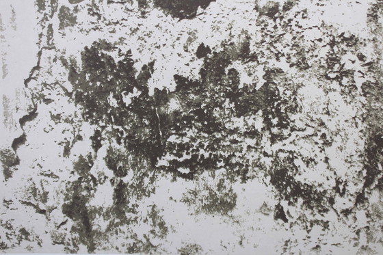 Image 1 of Druck von Klaus Littmann 1972