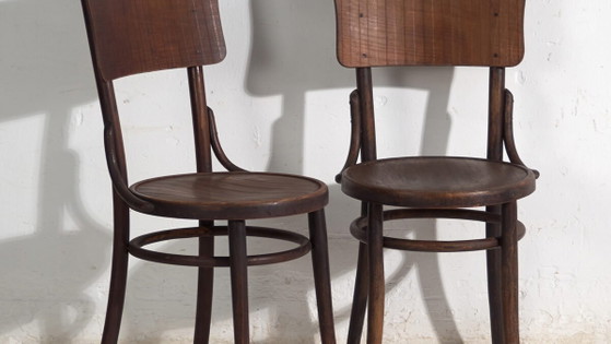 Pair of Thonet style bentwood chairs with curved board back – Central Europe, circa 1920 – Dining chairs (photo 3 of 40)