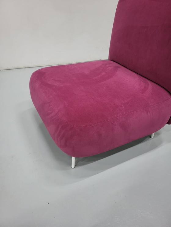 Image 1 of 1x poltrona lounge Pedrali Buddy