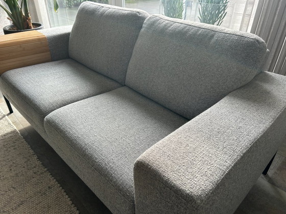 Image 1 of Divani prominenti T-505 da 2,5 posti