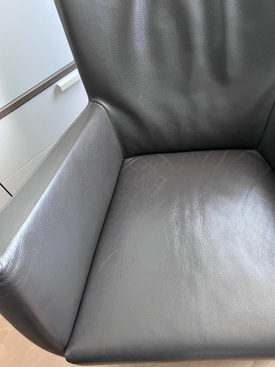 Poltrona Montis Windy – Poltrone, Leather (photo 6 of 6)