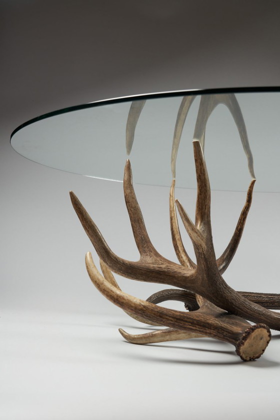 Image 1 of Mesa de centro de cuerno con estante de cristal transparente