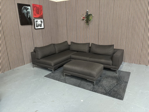 Diseño en Stock Aikon Marrón Oscuro 280x200 LIMPIO Y ENTREGADO