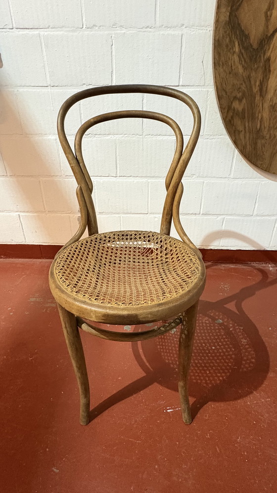 Image 1 of Silla original J & J Kohn ca 1900