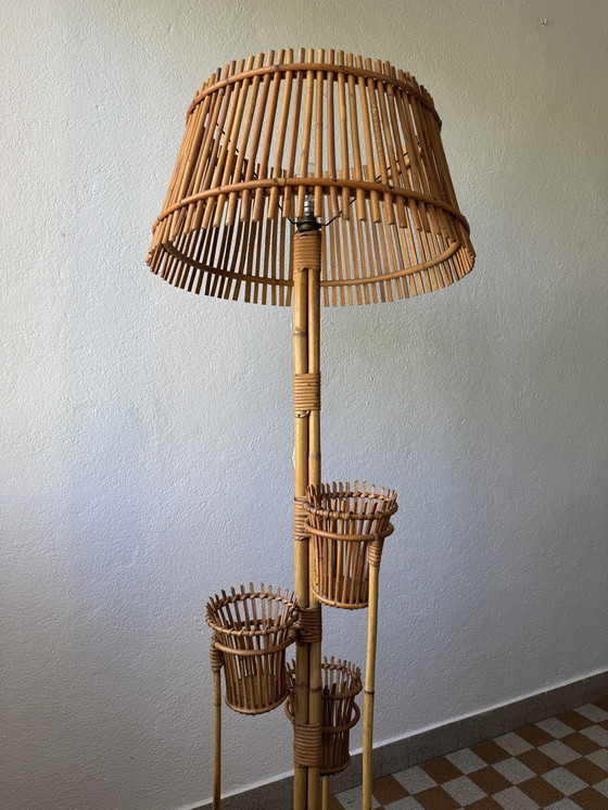 Image 1 of Lámpara de pie con soporte para plantas de ratán de los años 50