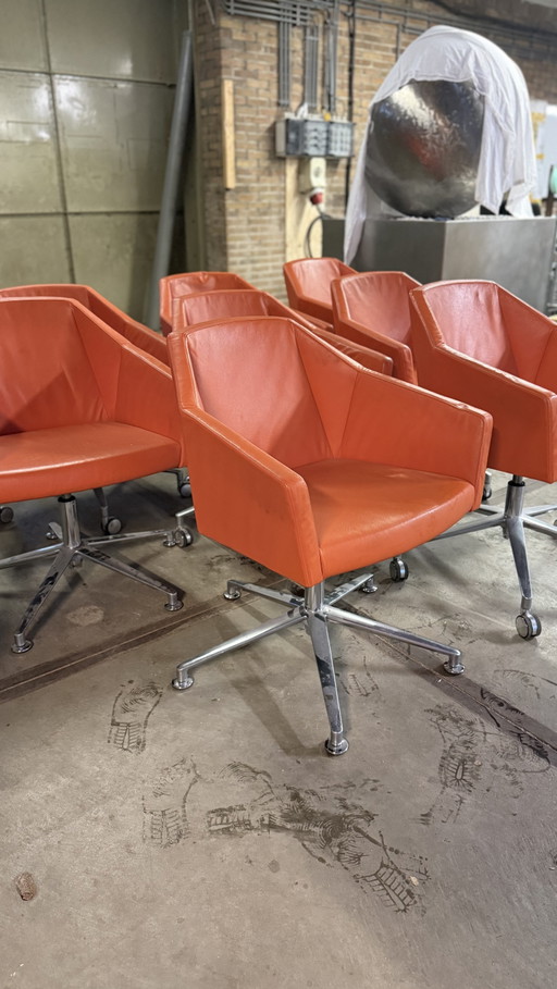 7x Casala Parker designstoelen | Oranje leer