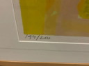 Jan Cremer - ‘’Tulpen 99 II’’ - ingelijste zeefdruk 
