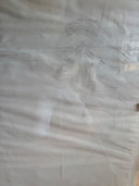Design originale della copertina Gerry the Cat