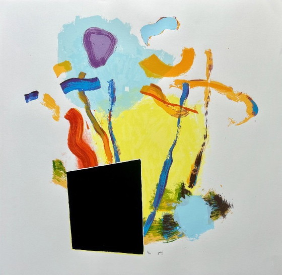 Image 1 of Serigrafia di Bert van Gulik