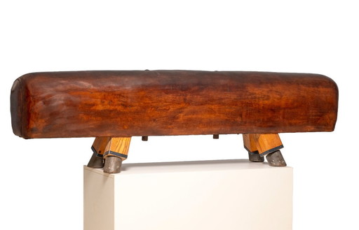 Vintage Leather Gym Bench / Pommel Horse, Bauhaus Style, Europe, 1920s