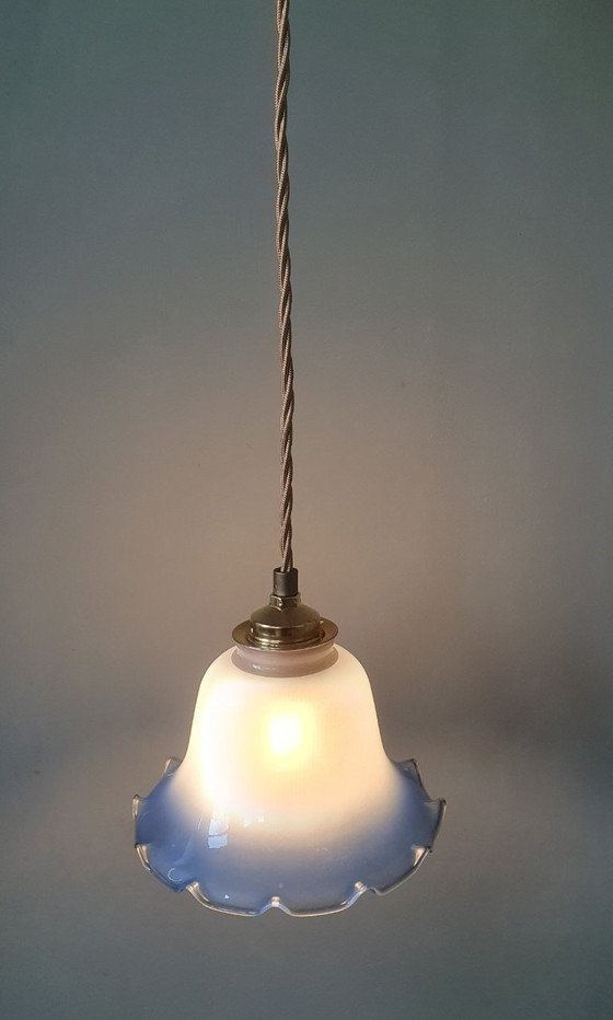 Image 1 of Vintage frosted glass pendant lamp in floral shape.