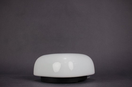 Image 1 of Aplique de pared de mediados de siglo, Checoslovaquia, 1960