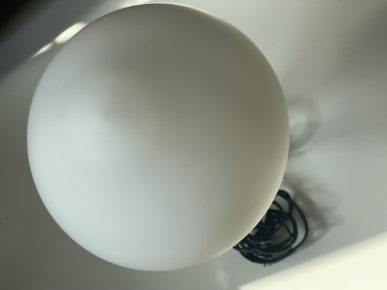 Image 1 of Champignon Lamo