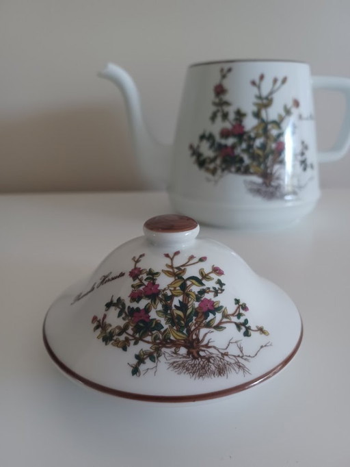 Teiera in porcellana d'epoca. Serigrafia botanica. Herrandiz Spagna.