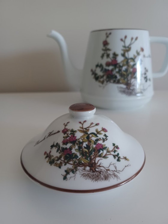 Image 1 of Théière vintage en porcelaine. Sérigraphie botanique. Herrandiz Espagne.