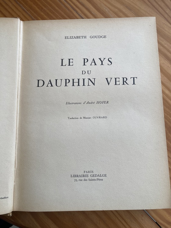 Image 1 of La terra del delfino verde