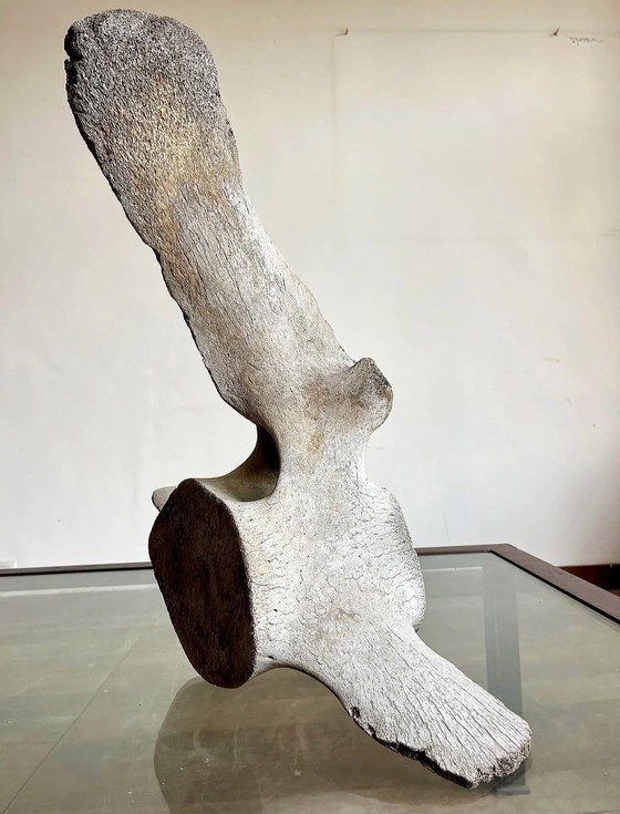 Image 1 of Eine Skulptur aus dem Meer