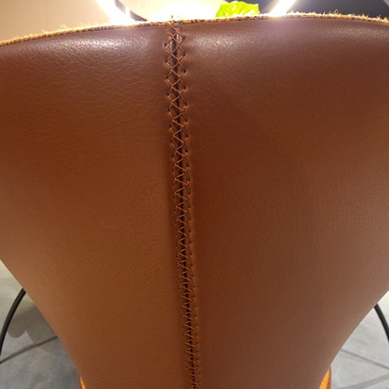 Image 1 of Leolux Callas Esszimmerstuhl (4er-Set)