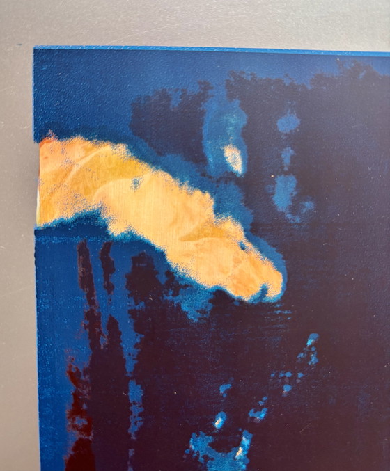 Image 1 of Zeefdruk van koikarpers