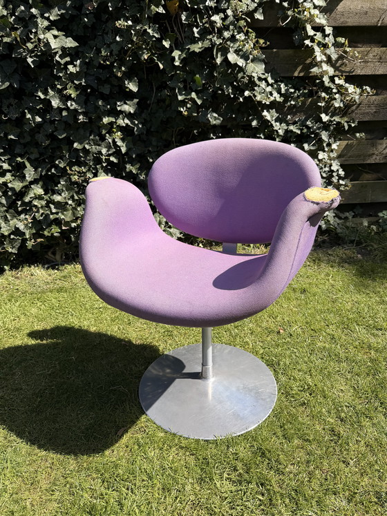 Image 1 of Little tulip Artifort (purple) badly damaged