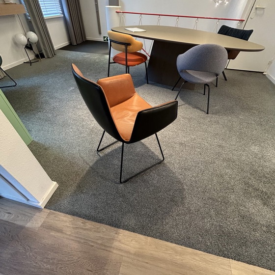 Image 1 of Sedia da pranzo Freifrau Amelie