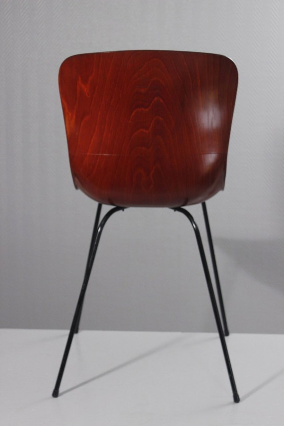 Image 1 of Pagholz & Elmar Flötotto - Model 1507 chair circa 1960