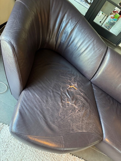 Divano pupilla Leolux