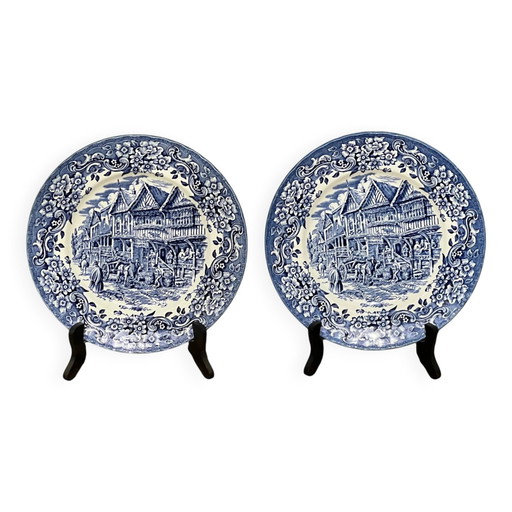Coppia di piatti Royal Tudor Ware.