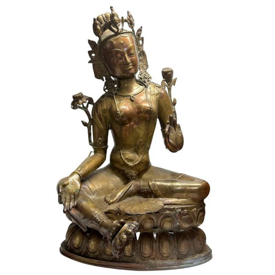 Antigua estatua tibetana de Tara en bronce dorado al fuego – lote 463 – Esculturas, Bronze, Gold (photo 2 of 17)