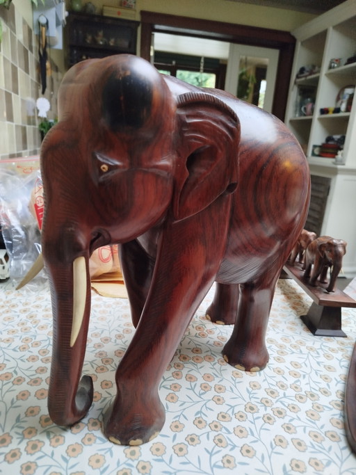 Gros éléphant