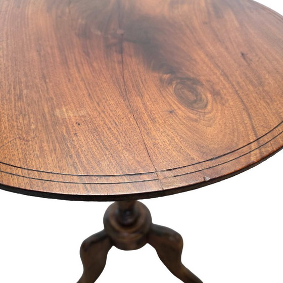 Image 1 of Table à plantes française ancienne sur trépied, seconde moitié du XIXe siècle