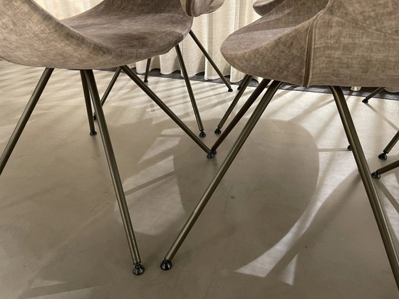 Image 1 of Sedia da pranzo Tonon Moon