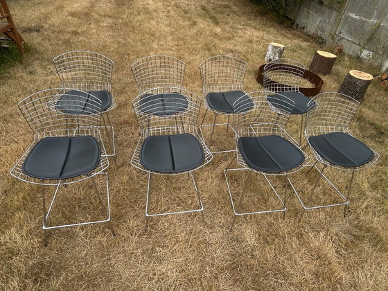 Set van 8 vintage Bertoia stijl draadstoelen – chroom – design – Merkloos, Eetkamerstoelen, Chrome, Leather (photo 3 of 5)