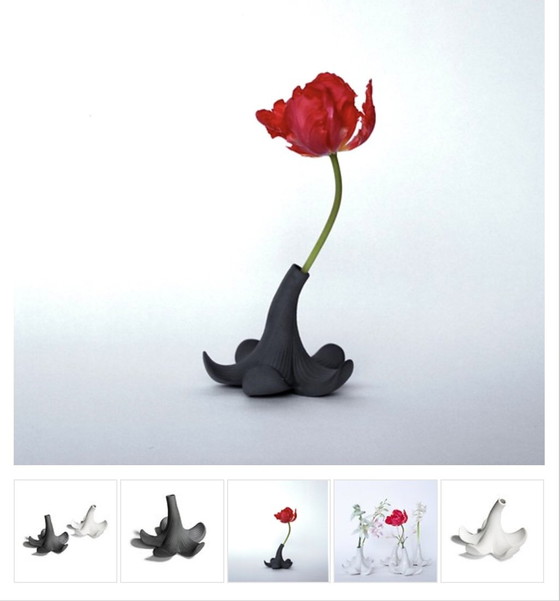 Image 1 of Jarrón de diseño / Jarrón de porcelana Bloom