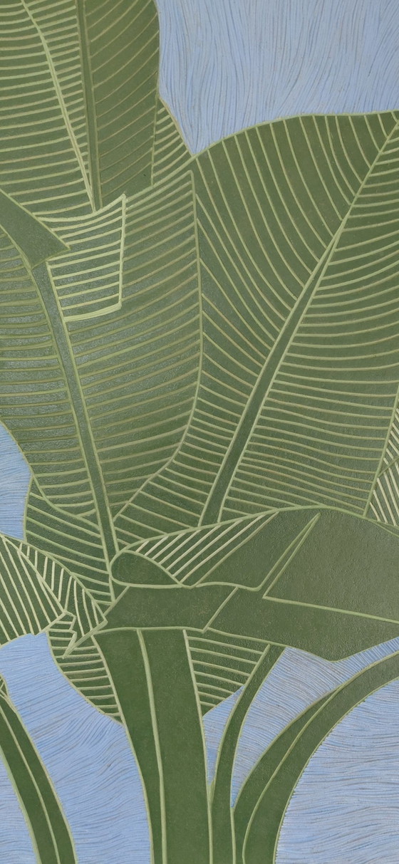 Image 1 of Galleria "La pianta di banana" Suncorner