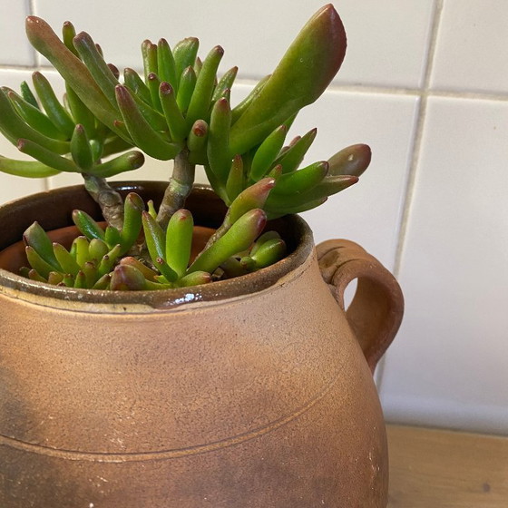 Image 1 of Olla antigua de gres con asas