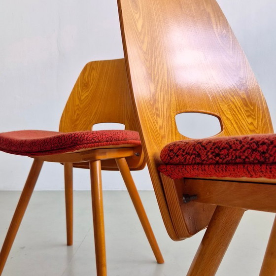 Chaises Mid-Century de František Jirák “Lollipop”, Vintage années 60, Tchécoslovaquie – TON (photo 10 of 12)