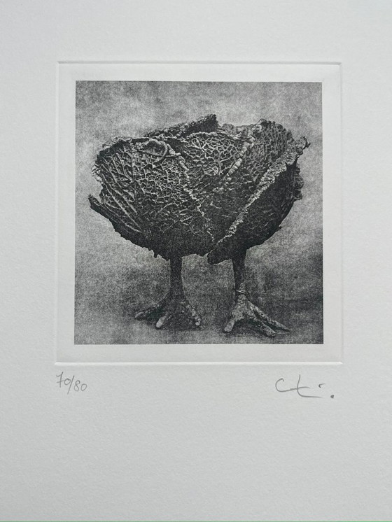 Image 1 of Originele prent, gesigneerd met potlood door Claude Lalanne.