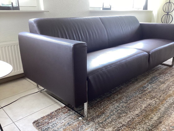 Image 1 of Artifort Mare 2 1/2 seater sofa in brown leather